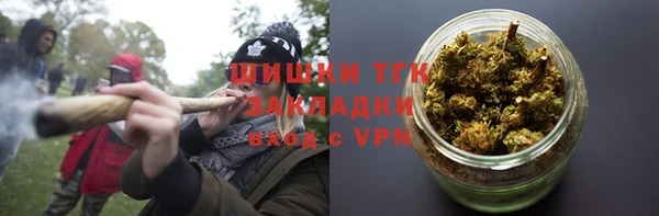 стаф Заводоуковск
