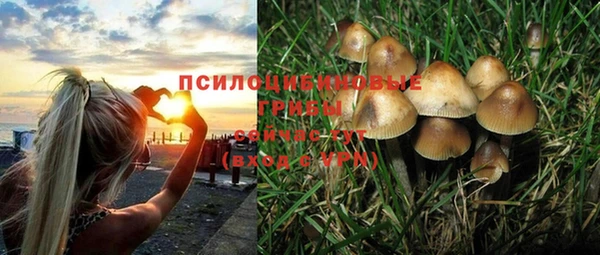 ПСИЛОЦИБИНОВЫЕ ГРИБЫ Зерноград