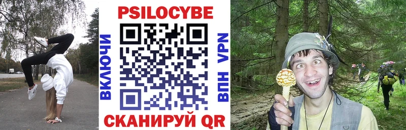 где можно купить   Калач  Галлюциногенные грибы ЛСД 
